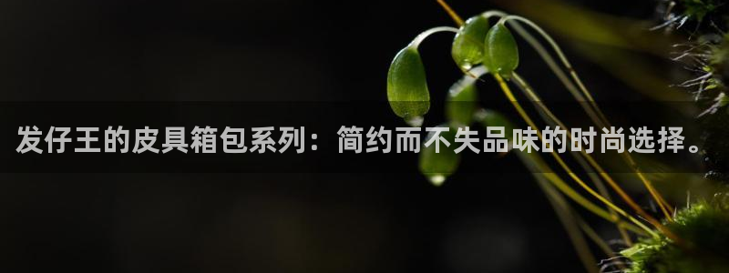 富邦娱乐网