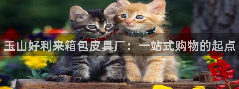 富邦天娱娱乐有限公司