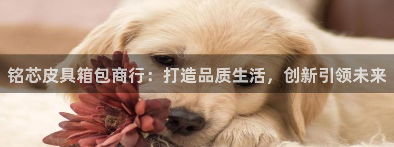 富邦娱乐网址是多少