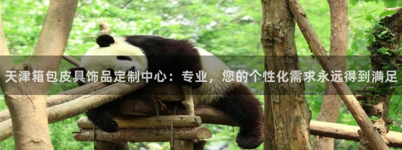 富邦娱乐 上鼎狐网