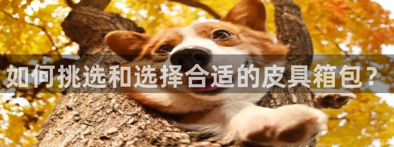 富邦娱乐-皇恩靠谱